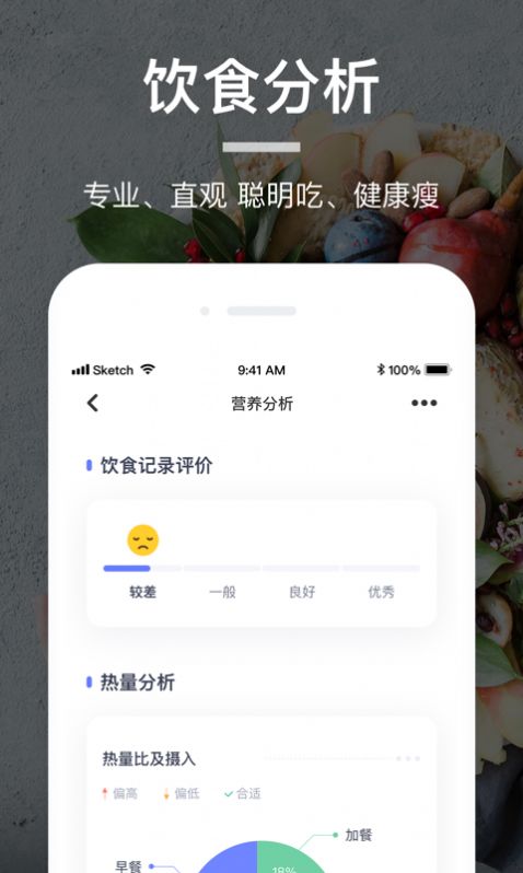 薄荷营养师app下载最新版